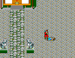 The Ninja - Image 2