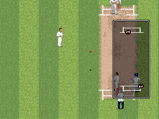 Brian Lara Cricket '96 - Image 5