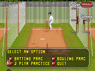 Brian Lara Cricket '96 - Image 2