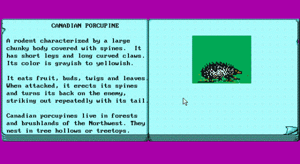 Animal Quest - Image 2