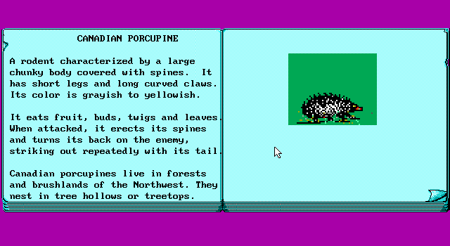 Animal Quest - Image 2