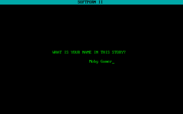 Softporn II - Image 4