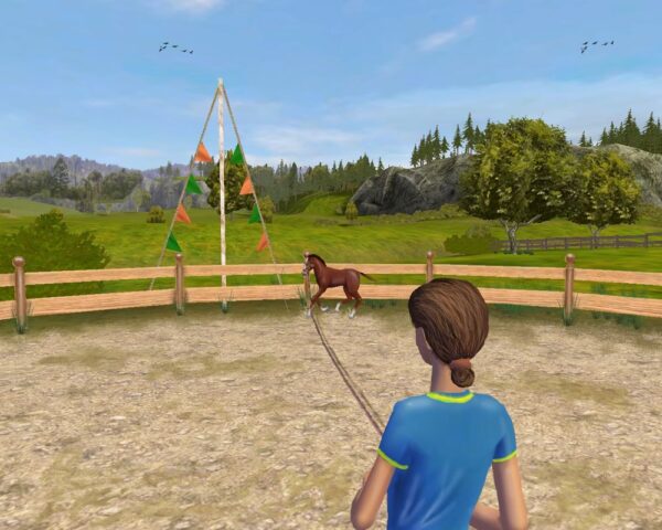 Pferd & Pony: Best Friends - Mein Pferd (Special Edition) - Image 3