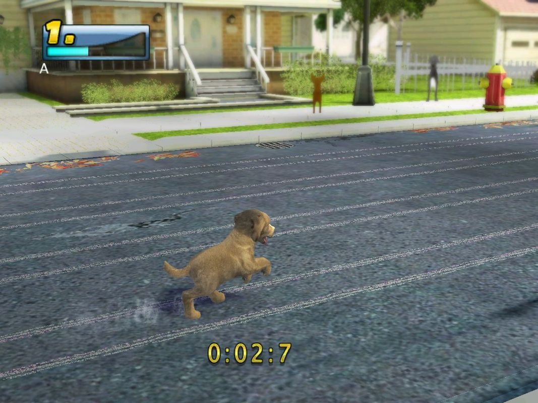 Petz Sports - Image 3