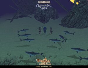 Neverwinter Nights: Pirates of the Sword Coast