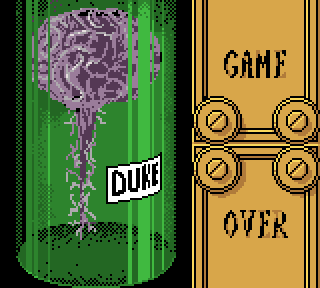 Duke Nukem - Image 3
