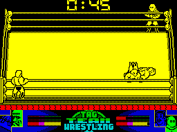 American Tag-Team Wrestling - Image 5