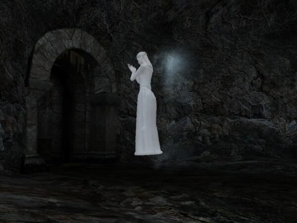 Dead Reefs - Image 2