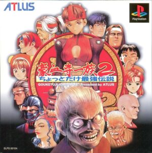 Power Instinct 2