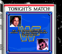 WWF Royal Rumble - Image 4