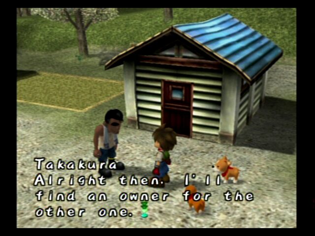 Harvest Moon: A Wonderful Life - Image 5