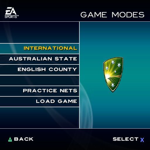 Cricket 2004 - Image 6