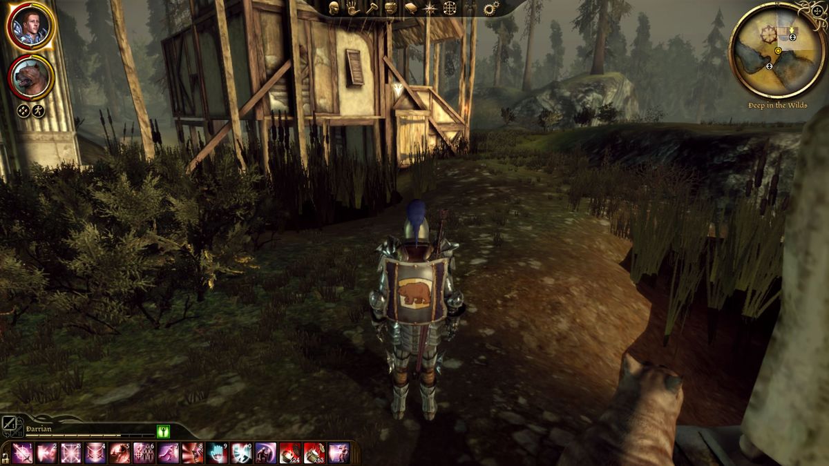 Dragon Age: Origins - Witch Hunt - Image 4