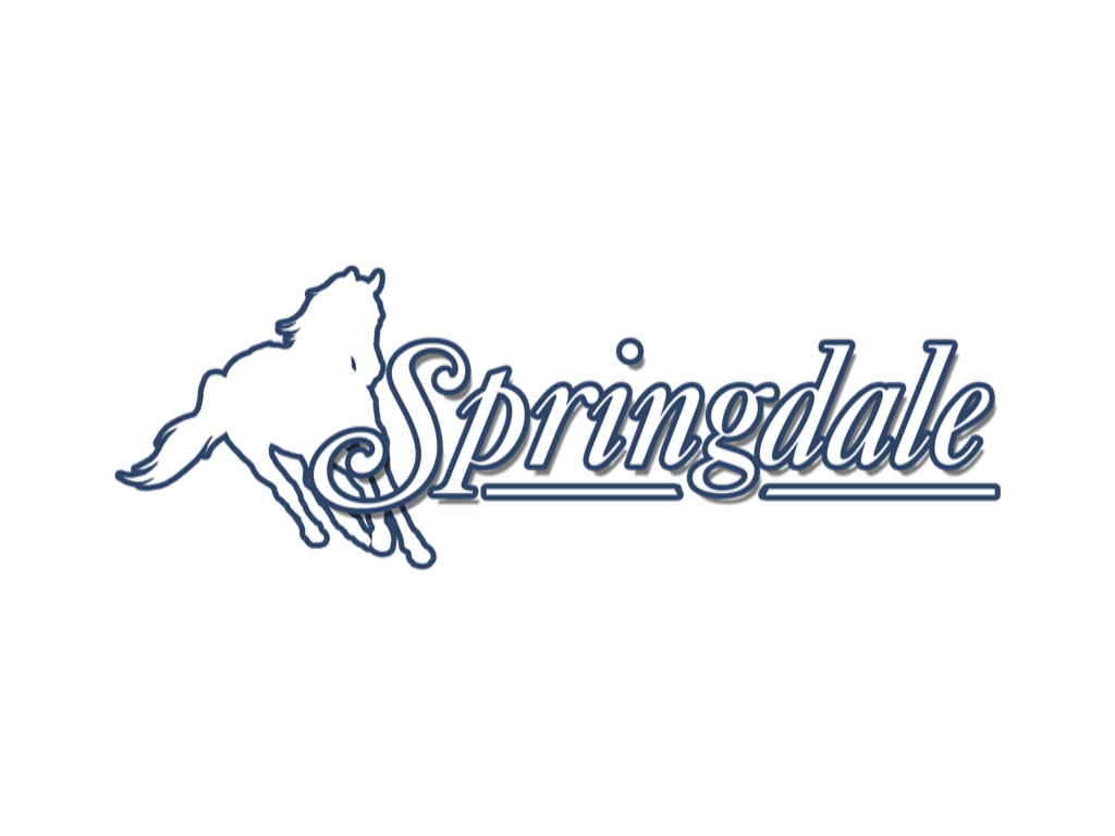Springdale: Över stock och sten - Image 6