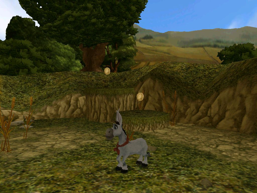 Donkey Xote - Image 4