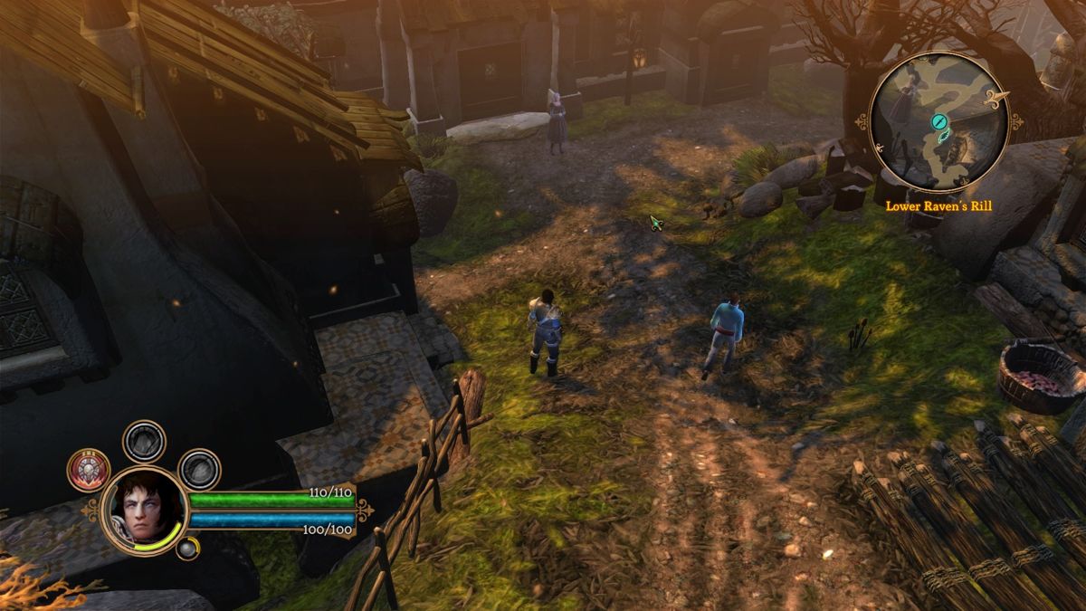 Dungeon Siege III - Image 6