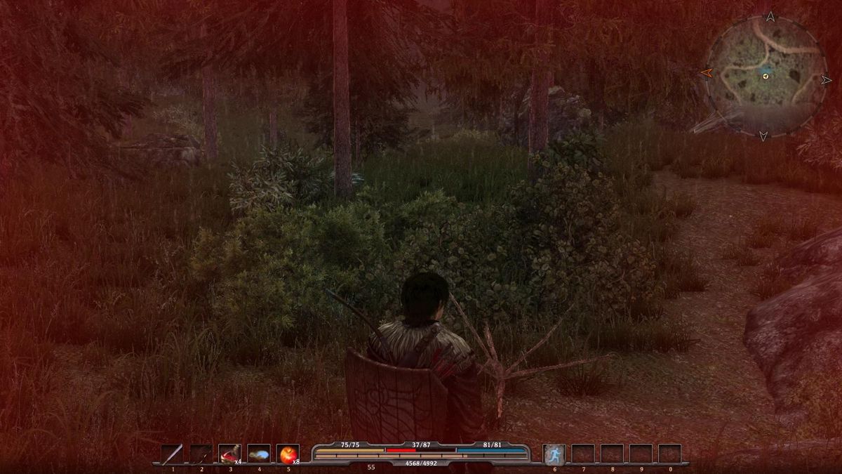 ArcaniA: Gothic 4 - Image 6