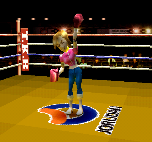 Kickboxing - Image 6