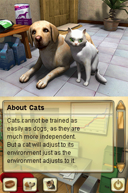Paws & Claws: Pampered Pets - Image 6
