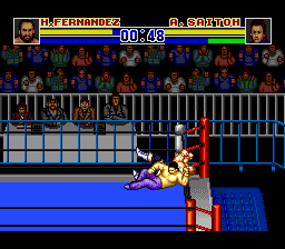 Shin Nihon Pro-Wrestling '94: Battlefield in Tokyo Dome — screenshot 1