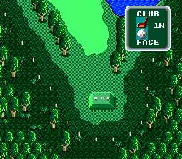 Super Albatross - Image 4