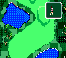 Super Albatross - Image 6