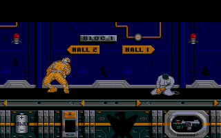 Golden Eagle - Image 6