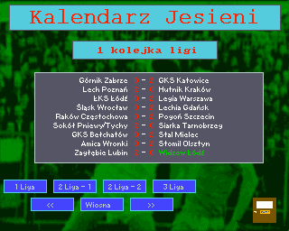 Liga Polska Manager '95 — screenshot 2