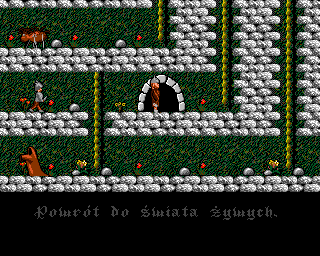 Vicky - Image 6