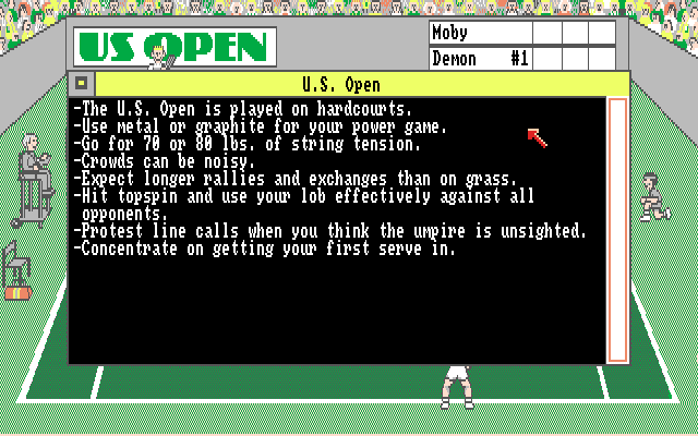 Grand Slam: World Class Tennis — screenshot 2