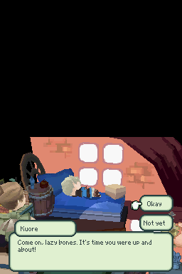 Final Fantasy: The 4 Heroes of Light — screenshot 1