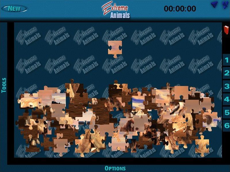 Puzzle & Word Games - Image 6