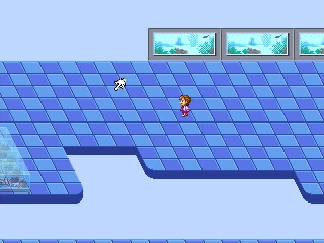 Aquarium - Image 4