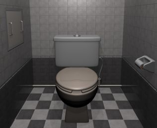 Escape the Toilet: A Triple Flush