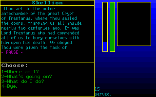 Skull Quest I: The Cyan Sarcophagus - Image 4
