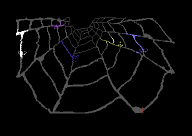 Web Dimension — screenshot 1