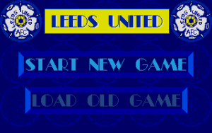 Leeds United Champions!