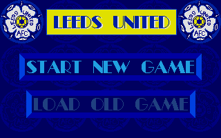 Leeds United Champions!