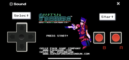 Screenshot published by the web-nes project