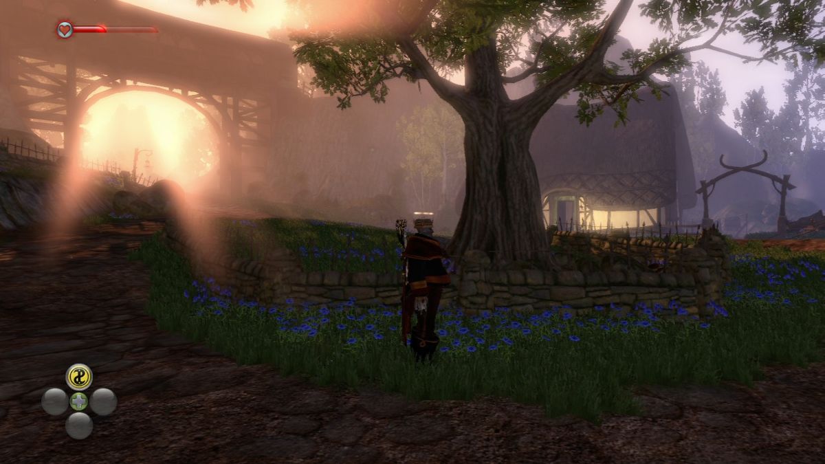 Fable II: See the Future — screenshot 1