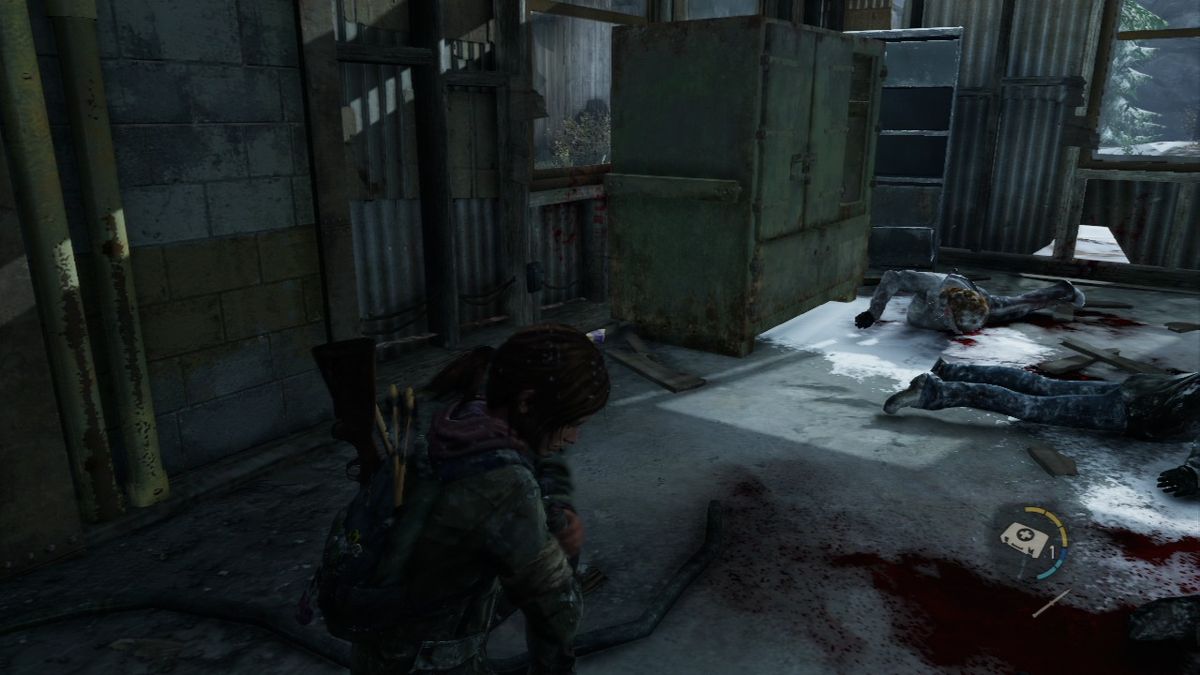The Last of Us - Image 4
