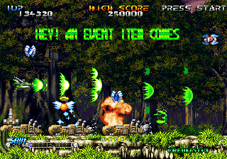 Blazing Star - Image 5