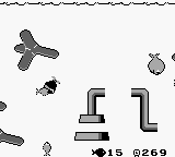 Fish Dude - Image 4