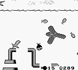 Fish Dude - Image 5